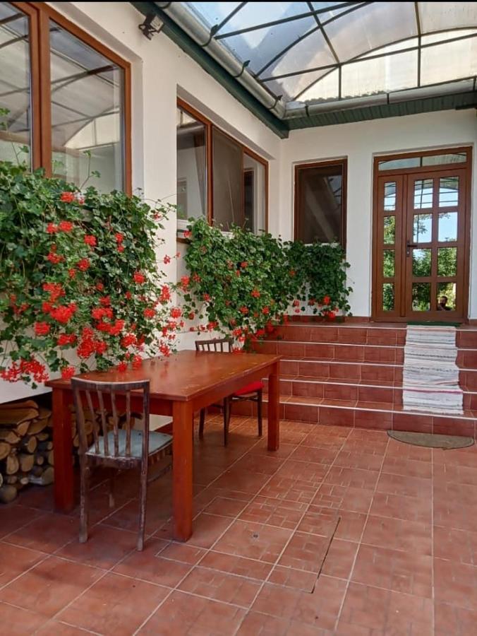Elza Guesthouse Rimetea Exterior foto