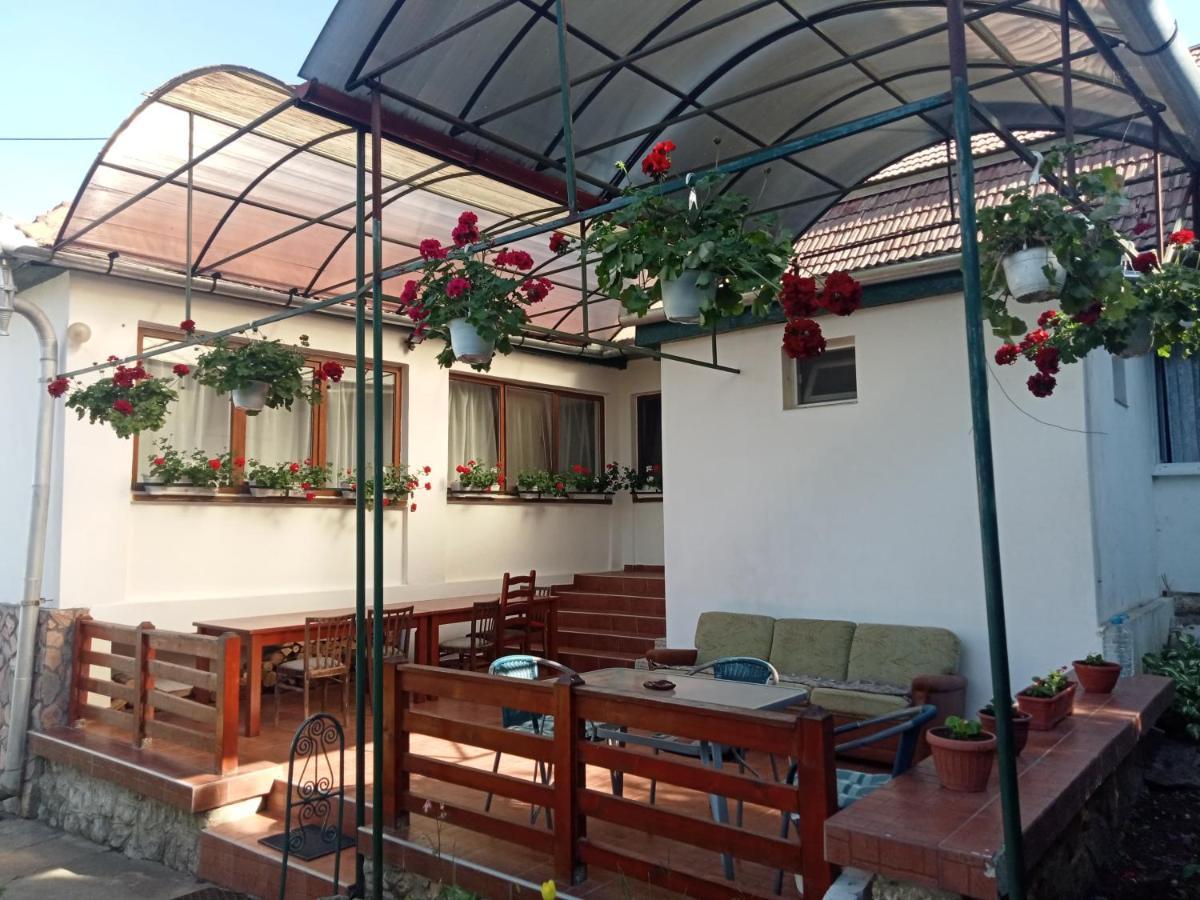 Elza Guesthouse Rimetea Exterior foto